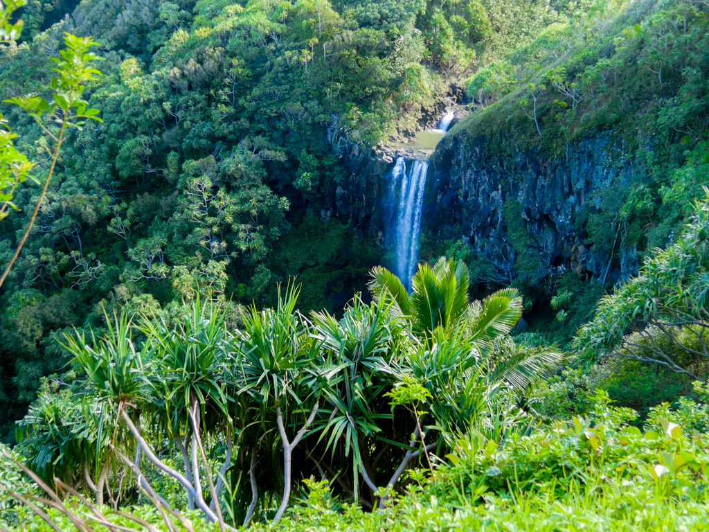 Waterfall Views!