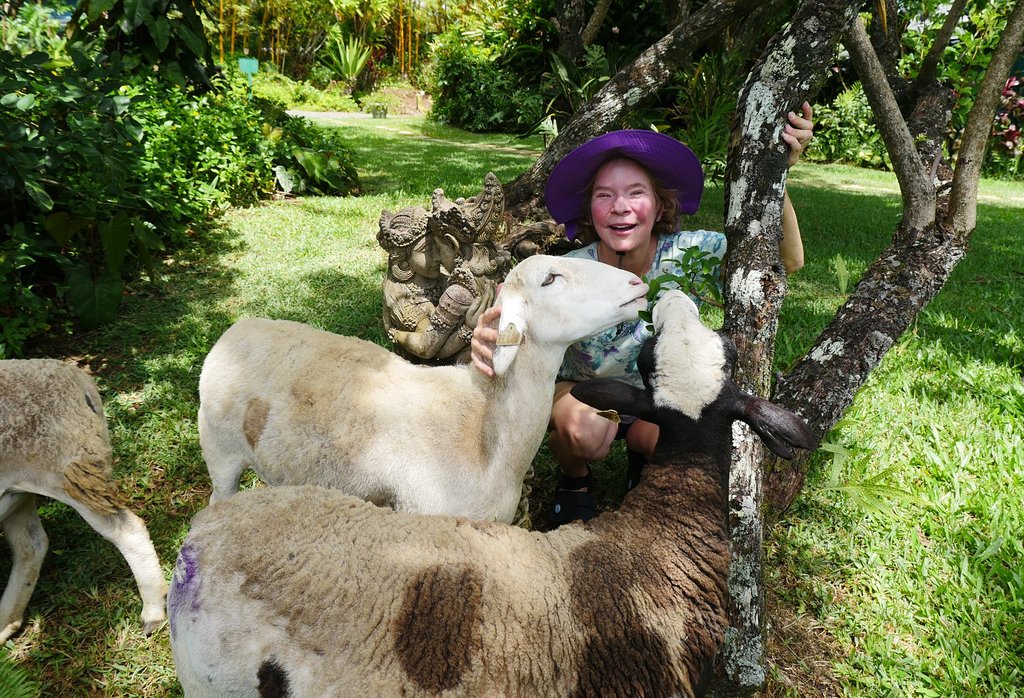 Maui's Hale Akua Eco Retreat founder Lori Grace petting our farm sheep