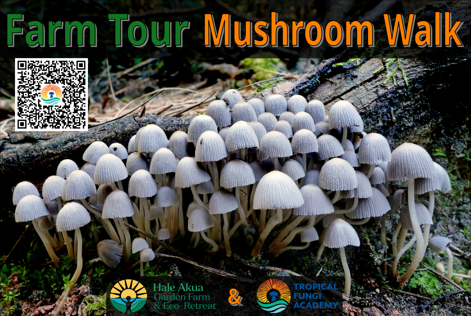 FLIER-Farm_Tour_Mushroom_Walk_28thJun2026_Hale_Akua[23]