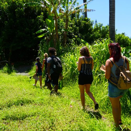 Guests taking a farm tour at Hale Akua organic farm in Maui